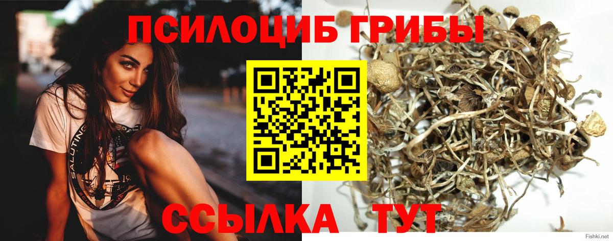 Галлюциногенные грибы MAGIC MUSHROOMS  Вход с VPN  Коркино 